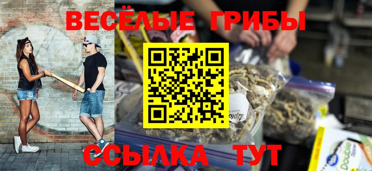 Сызрань  Псилоцибиновые грибы Psilocybe  Вход с VPN 